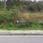 Terreno à venda na Rua Luiz Covolan, 4536, Santa Catarina, Caxias do Sul