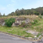 Terreno à venda na Rua Silviro Cassina, 138, Santa Catarina, Caxias do Sul