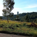 Terreno à venda na Rua Francisca de Steffani Doncato, 18, Santa Catarina, Caxias do Sul