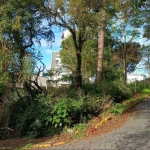 Terreno à venda na Rua Adalberon Cruz, 999, Bela Vista, Caxias do Sul