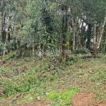 Terreno à venda na Da Avenca, 1, Leodoro de Azevedo, Canela