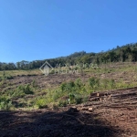 Terreno em condomínio fechado à venda na JOSE CABERLON., 11, Várzea Grande, Gramado