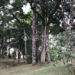 Terreno em condomínio fechado à venda na MARIA JOSE DE MOURA, 238, Moura, Gramado