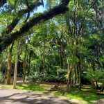 Terreno em condomínio fechado à venda na Rua Prefeito Waldemar Frederico Weber, 1815, Mato Queimado, Gramado