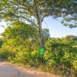 Terreno à venda na Dom João Bosco, 62, Mato Grande, Canoas