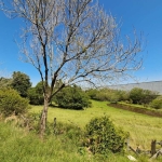 Terreno à venda na Santa Rita Ao Caju, 100, Floresta, Nova Santa Rita