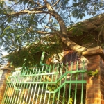 Casa em condomínio fechado com 5 quartos à venda na Rua Engenheiro Chang, 328, Fátima, Canoas