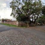 Terreno à venda na Rua Padre Jorge Sedelmayr S J, 95, Vila Ipiranga, Porto Alegre