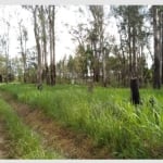 Terreno à venda na Rua João Antônio Lopes, 4000, Lomba do Pinheiro, Porto Alegre