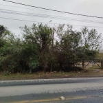 Terreno à venda na Avenida da Serraria, 2601, Espírito Santo, Porto Alegre