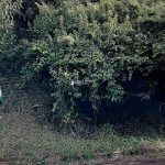 Terreno à venda na São Francisco, 19, Centro, Campo Bom