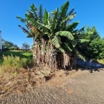 Terreno à venda na Porto Alegre, 467, Imigrante Norte, Campo Bom