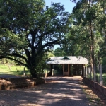 Terreno em condomínio fechado à venda na Estrada Morro de Paula, 3333, Fazenda São Borja, São Leopoldo