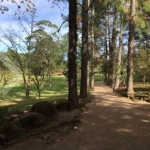 Fazenda à venda na Rua Luiz Corrêa da Silva, 3909, Lami, Porto Alegre