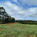 Terreno à venda na Estrada Costa Gama, 2933, Hípica, Porto Alegre