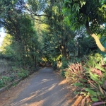 Terreno à venda na Rua Victor Silva, 116, Camaquã, Porto Alegre