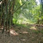 Terreno à venda na Rua Intendente Antônio Damasco, 448, Ratones, Florianópolis