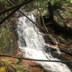 Terreno à venda na Estrada Rozália Paulina Ferreira, 4298, Pântano do Sul, Florianópolis