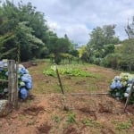 Terreno à venda na Guilherme Kurtz, 1247, 150, Centro, Itaara