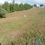 Terreno para Venda em São Miguel Arcanjo, Abaitinga, 1 dormitório, 1 banheiro, 1 vaga