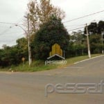 Área à Venda por R$6.382.978,72 - Oriço - Gravataí, Rio Grande do Sul