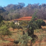 Sítio Residencial à venda, Centro, Porto Feliz - SI0030.
