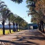 Terreno à venda, 593 m² por R$ 450.000,00 - Jardim Calegaris - Paulínia/SP