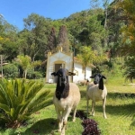Fazenda com 7 dormitórios à venda, 170000 m² por R$ 5.600.000,00 - Quebec Ville - São Roque/SP