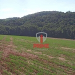 Sítio à venda em São Luiz no Paraná. Com 10 alqueires e 7 alqueires plantando, terra roxa. Aceita permuta até R$ 800.000,00. Entrada + 6meses.