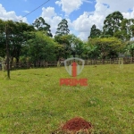 Sitio à venda em São Jeronimo da Serra no Paraná. 6 km da cidade. 32 alqueires em pasto Casa sede.