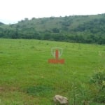 Fazenda à venda na Zona Rural de Londrina no Paraná. 40km de Londrina. Com 115 alqueres, sendo 30 alqueires de plantio,  podendo planta mais 40 alquei