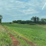 Sítio à venda na Warta região de Londrina no Paraná. 10 alqueires  5,5 alqueires plantando  2,0 alqueires plantar Hoje em pasto  Confinamento para 250