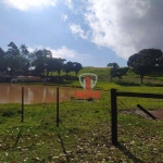 Fazenda à venda em São Jerônimo da Serra no Paraná. Com 117 alqueires  sendo 17 alqueires de plantio. Mangueira com embarcador, duas casas e represa.