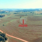 Fazenda à venda em Santo Antônio da Platina no Paraná. Com  57,20 alqueires sendo 48,00 alqueires, barracão, casa sede, casa de funcionário.  R$ 14.50