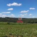 Fazenda à venda em Guaravera no Paraná. Com 108 alqueires  sendo 90 alqueires plantio .   3.500 sacas o alqueire.