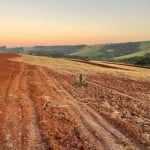 Sítio à venda em Mauá da Serra. Com 35 alqueires sendo 27 alqueires de plantio. 890 metros de altitude. Campo de semente. 3.000 mil sacos de soja por