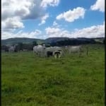 Fazenda à venda em Reserva no Paraná. Com 225 alqueires, aberto em torno de 150 alqueires.  Toda cercada, casa boa e mangueira boa. Aproveita no plant