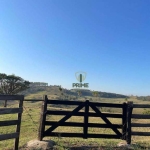 Fazenda à venda em Bandeirantes no Paraná. Com 98 alqueires, formada no pasto, 18 divisões, açudes nas divisões de pasto, mangueira de aroeira. Casa s