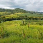 Sítio à venda em Tamarana no Paraná. Com 10 alqueires sendo 5 alqueires de plantio, 4 alqueires de pasto. Curral novo, Galinheiro, duas represas, poço