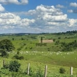 Fazenda à venda em Rosário do Ivaí - Paraná com 95 Alqueires sendo 80 Alqueires de pasto. 16 KM de Rosário do Ivaí, estuda parcelamento