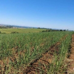 Fazenda com cana á venda em Capela do Alto/SP