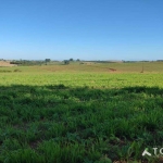 Excelente Fazenda á venda em Itapetininga/SP