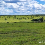 Fazenda à venda no Município de Bofete - SP