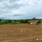 Fazenda à venda, 1167 m² por R$ 5.500.000,00 - Centro - Itapetininga/SP