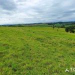 Sítio à venda, 250 m² por R$ 2.100.000,00 - Centro - Itapetininga/SP