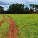 Sítio à venda em Itapetininga/SP