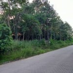 Terreno à venda na Rua Alberto Adolpho Fruchtenicht, 5, Campestre, São Leopoldo