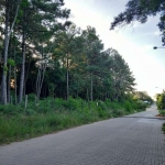 Terreno à venda na Rua Alberto Adolpho Fruchtenicht, 7, Campestre, São Leopoldo