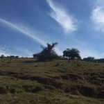 Terreno à venda na Estrada Ivo Afonso Dias, 497, Fazenda São Borja, São Leopoldo