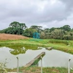 Chácara / sítio com 2 quartos à venda na Rua Vila Nova, 2100, Cachoeira, São José dos Pinhais